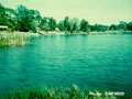 Lake Eckles